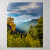 Sunlight Valley // Autumn Color Forest Poster (Vorne)