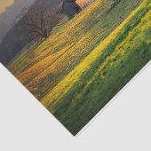 Sunlit Barns inmitten grüner Hügel Seidenpapier (Ausschnitt)