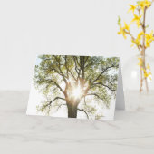 Sunlit Baum Karte (Gelbe Blume)