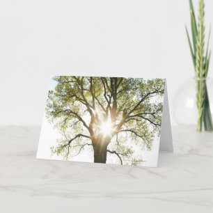 Sunlit Baum Karte