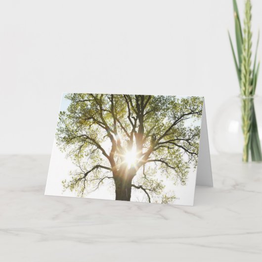Sunlit Baum Karte (Vorderseite)
