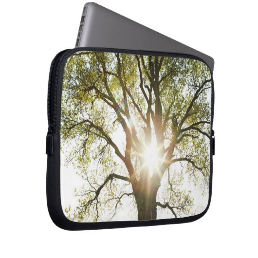 Sunlit Baum Laptopschutzhülle (Vorne Rechts)