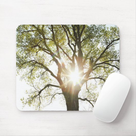 Sunlit Baum Mousepad (Mit Mouse)