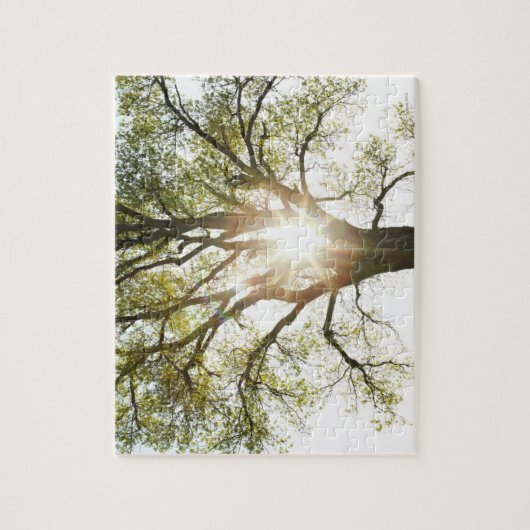 Sunlit Baum Puzzle (Vertikal)