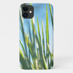 Sunlit Blades Case-Mate iPhone Hülle