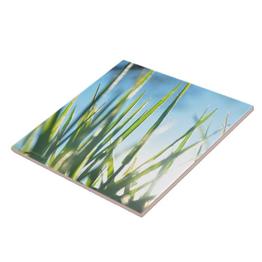 Sunlit Blades Fliese (Seite)
