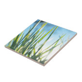 Sunlit Blades Fliese (Seite)