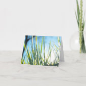 Sunlit Blades Karte (Vorderseite)