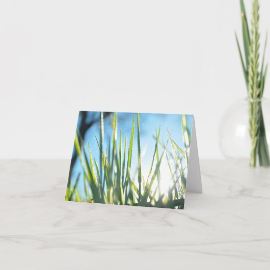 Sunlit Blades Karte (Vorderseite)