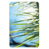 Sunlit Blades Magnet (Vertikal)