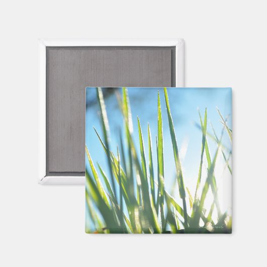 Sunlit Blades Magnet (Vorderseite/Rückseite)