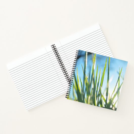 Sunlit Blades Notizblock (Innenseite)