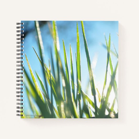 Sunlit Blades Notizblock (Vorderseite)