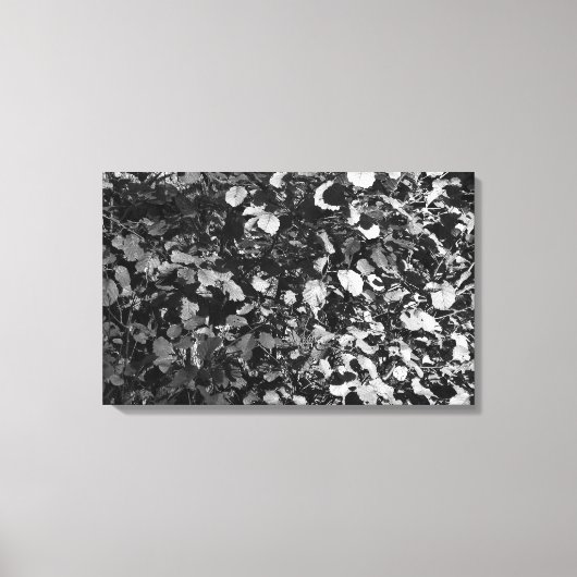 Sunlit Blätter Leinwanddruck (Vorderseite)