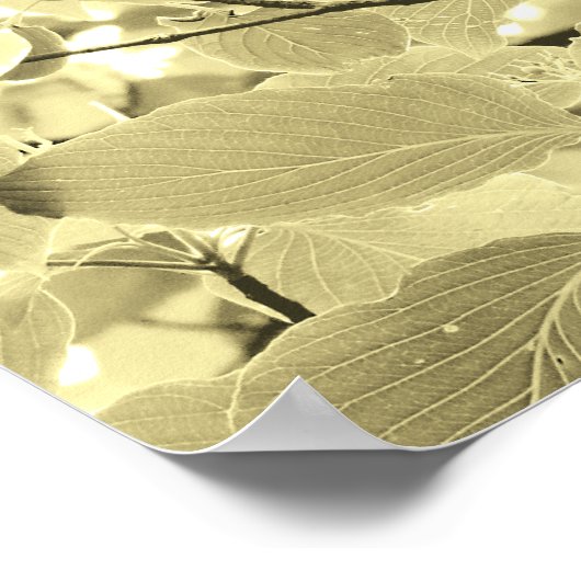 Sunlit Blätter Poster (Ecke)