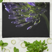 Sunlit blühender lila Agapanthus, afrikanische Geschirrtuch (Gefaltet)