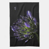 Sunlit blühender lila Agapanthus, afrikanische Geschirrtuch (Vertikal)