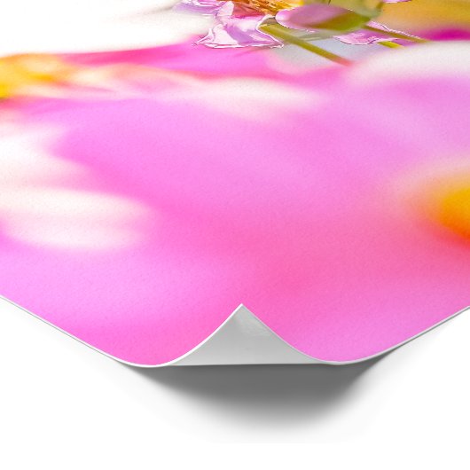 Sunlit Chorus of Pink Poster (Ecke)