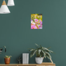 Sunlit Chorus of Pink