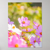 Sunlit Chorus of Pink Poster (Vorne)