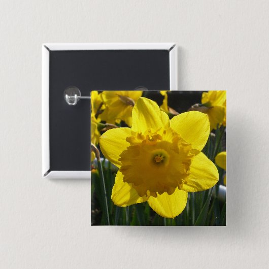 Sunlit Daffodil Button (Vorne & Hinten)