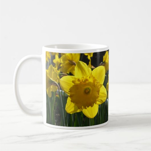 Sunlit Daffodil Kaffeetasse (Links)