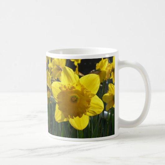 Sunlit Daffodil Kaffeetasse (Rechts)