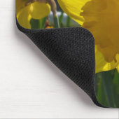 Sunlit Daffodil Mousepad (Ecke)