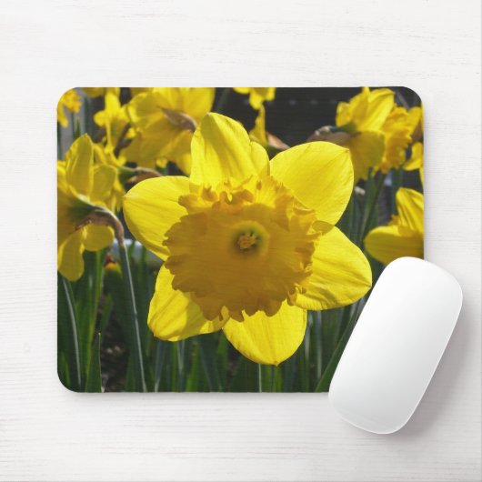 Sunlit Daffodil Mousepad (Mit Mouse)