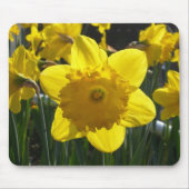 Sunlit Daffodil Mousepad (Vorne)