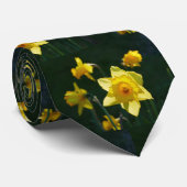 Sunlit Daffodils Krawatte (Gerollt)