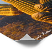 Sunlit Desert Saguaro Poster (Ecke)