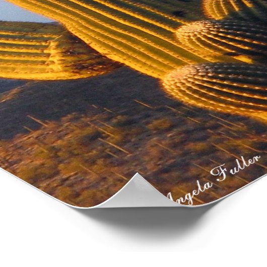 Sunlit Desert Saguaro Poster (Ecke)