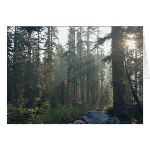 Sunlit Einsamkeit