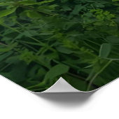 Sunlit Falls - Minimalistische Naturkunst für Mode Poster (Ecke)