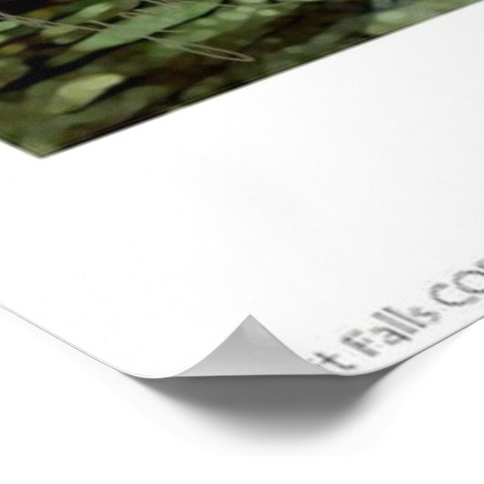 Sunlit Falls Poster (Ecke)