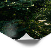 Sunlit Forest Path Through Ancient Pines Poster (Ecke)