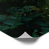 Sunlit Forest Path Through Ancient Pines Poster (Ecke)