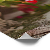 Sunlit Garden Spaziergang: Cavalier King Charles S Poster (Ecke)