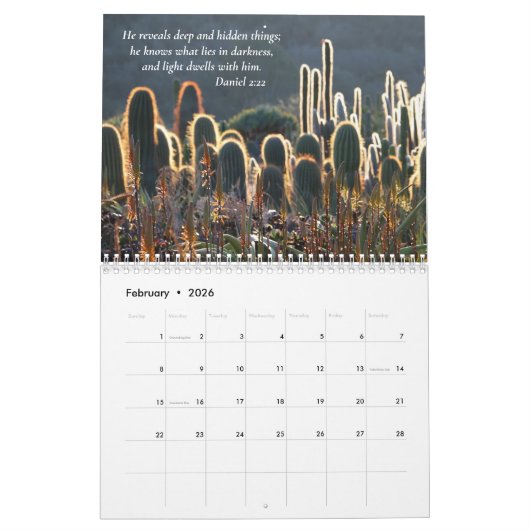 Sunlit Gardens & Scripts Kalender (Feb 2026)