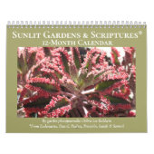 Sunlit Gardens & Scripts Kalender (Titelbild)