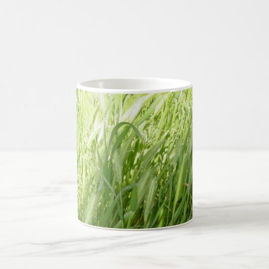 Sunlit Gras Kaffeetasse (Mittel)