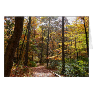 Sunlit Herbstweg im Laurel Hill Staat Park
