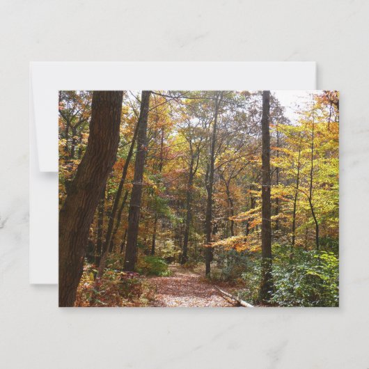 Sunlit Herbstweg im Laurel Hill Staat Park (Vorderseite)