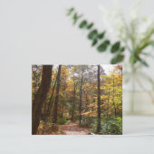 Sunlit Herbstweg im Laurel Hill Staat Park (Stehend Vorderseite)