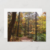 Sunlit Herbstweg im Laurel Hill Staat Park (Vorne/Hinten)