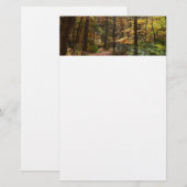 Sunlit Herbstweg im Laurel Hill Staat Park Briefpapier (Vorne/Hinten)