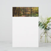 Sunlit Herbstweg im Laurel Hill Staat Park Briefpapier (Stehend Vorderseite)