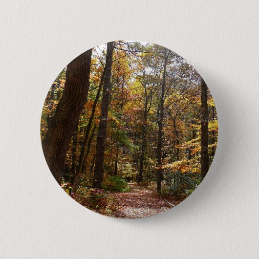 Sunlit Herbstweg im Laurel Hill Staat Park Button (Vorderseite)
