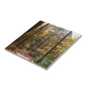 Sunlit Herbstweg im Laurel Hill Staat Park Fliese (Seite)